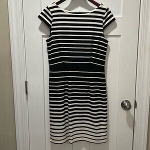 LOFT Dress New! Size 6